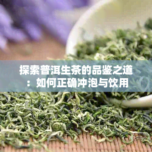 探索普洱生茶的品鉴之道：如何正确冲泡与饮用