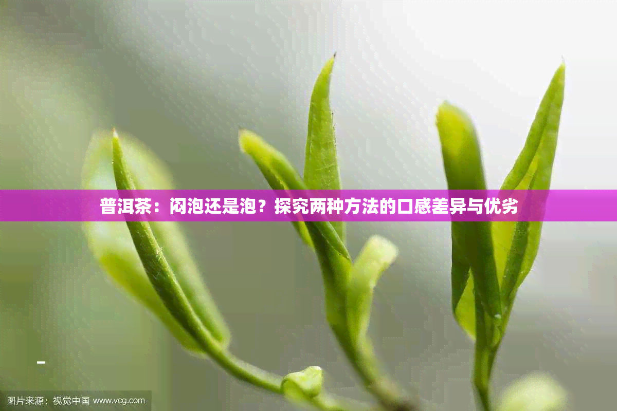 普洱茶：闷泡还是泡？探究两种方法的口感差异与优劣