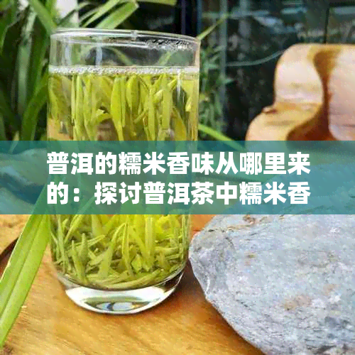 普洱的糯米香味从哪里来的：探讨普洱茶中糯米香的成因