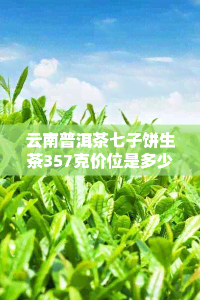 云南普洱茶七子饼生茶357克价位是多少？