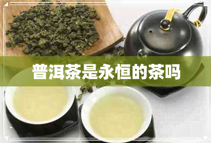 普洱茶是永恒的茶吗