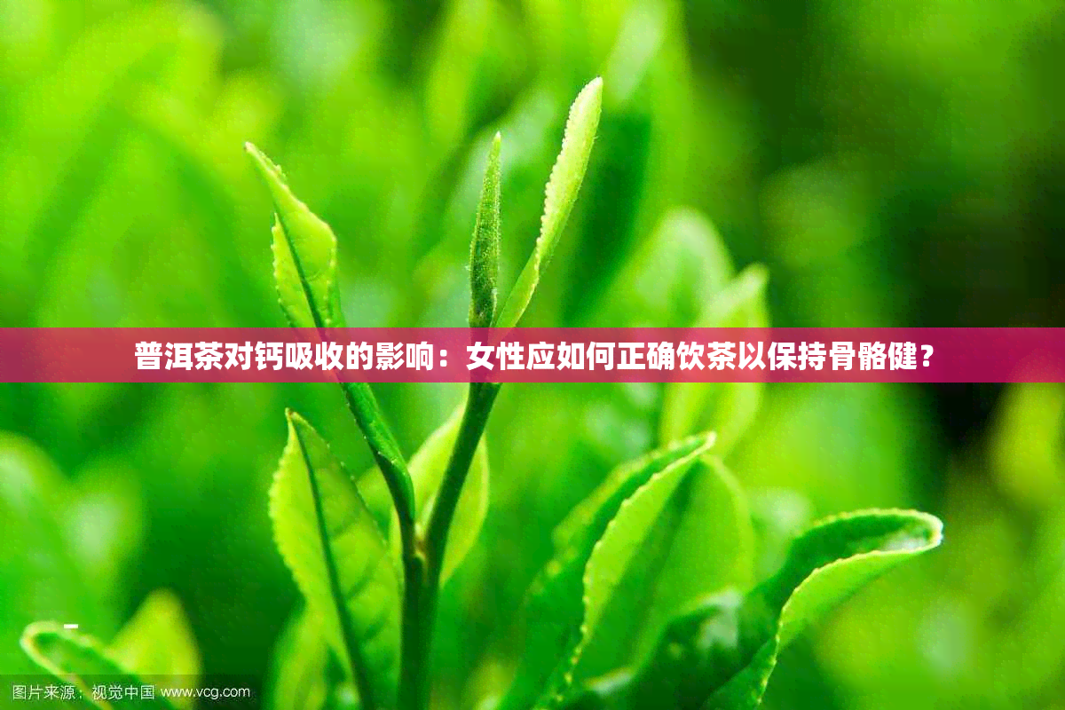 普洱茶对钙吸收的影响：女性应如何正确饮茶以保持骨骼健？