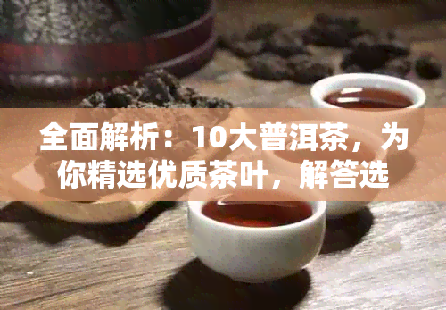 全面解析：10大普洱茶，为你精选优质茶叶，解答选购疑惑