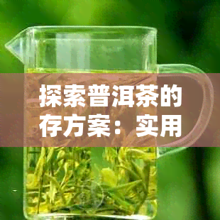 探索普洱茶的存方案：实用藏技巧与容器选择