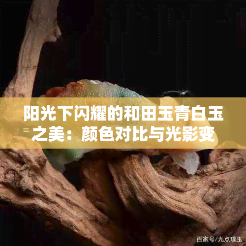 阳光下闪耀的和田玉青白玉之美：颜色对比与光影变化