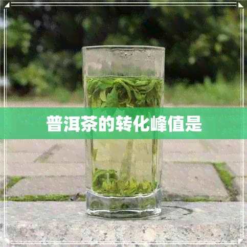 普洱茶的转化峰值是