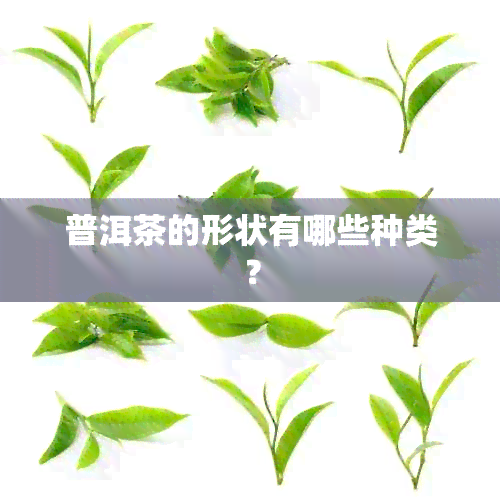 普洱茶的形状有哪些种类？