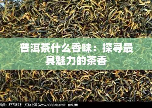 普洱茶什么香味：探寻更具魅力的茶香