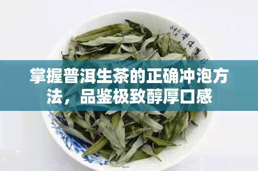 掌握普洱生茶的正确冲泡方法，品鉴极致醇厚口感