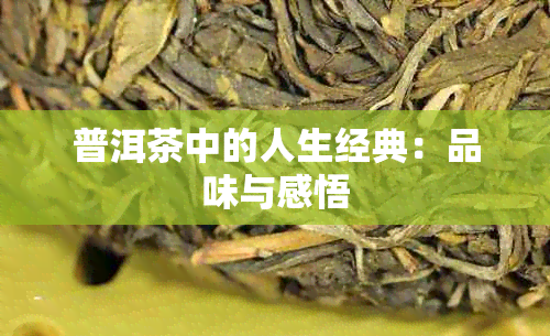 普洱茶中的人生经典：品味与感悟