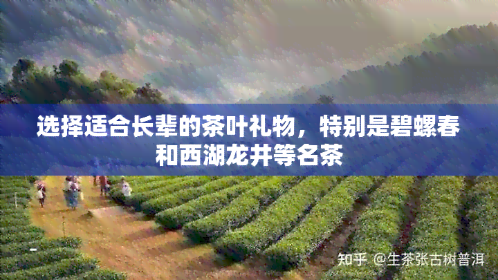 选择适合长辈的茶叶礼物，特别是碧螺春和西湖龙井等名茶