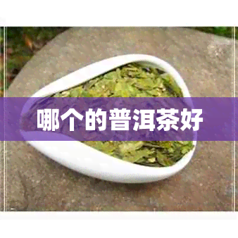 哪个的普洱茶好