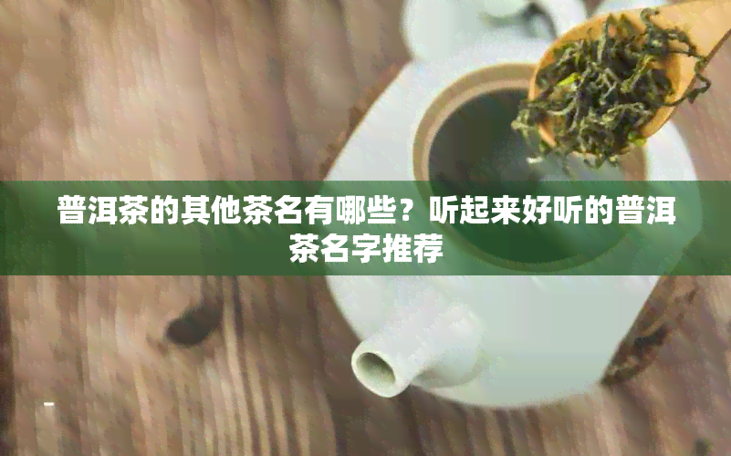 普洱茶的其他茶名有哪些？听起来好听的普洱茶名字推荐