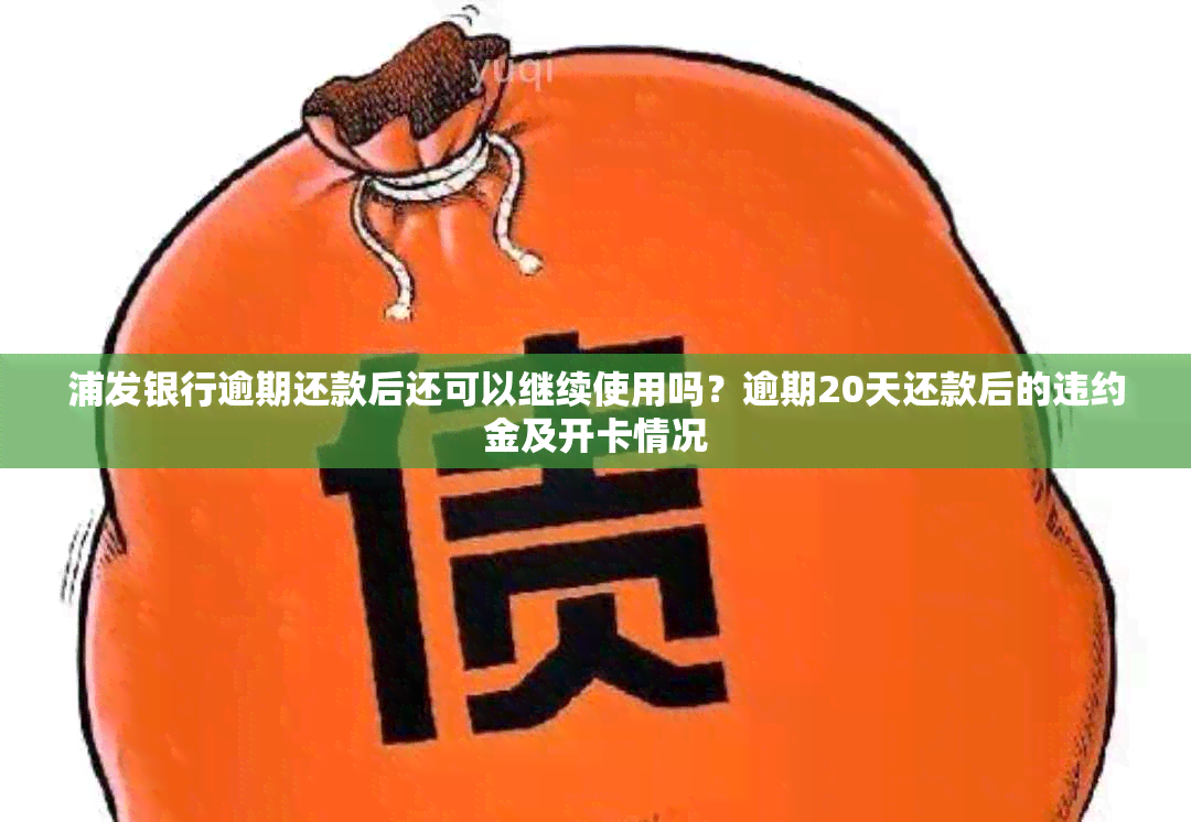 浦发银行逾期还款后还可以继续使用吗？逾期20天还款后的违约金及开卡情况