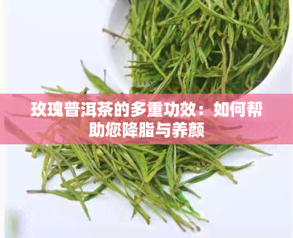 玫瑰普洱茶的多重功效：如何帮助您降脂与养颜