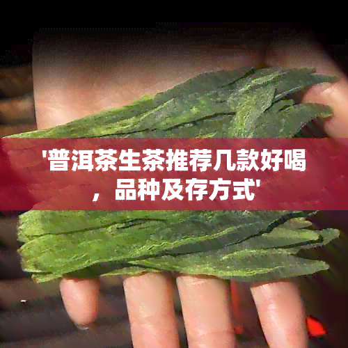 '普洱茶生茶推荐几款好喝，品种及存方式'