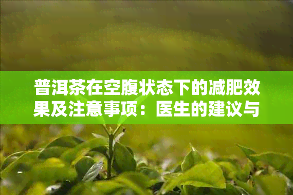 普洱茶在空腹状态下的减肥效果及注意事项：医生的建议与茶会体验分享