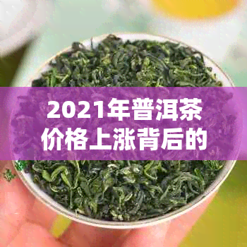 2021年普洱茶价格上涨背后的原因是什么？消费者如何应对？