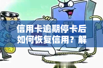 信用卡逾期停卡后如何恢复信用？解决方案和步骤全面解析