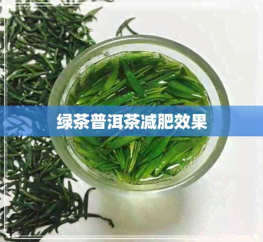 绿茶普洱茶减肥效果