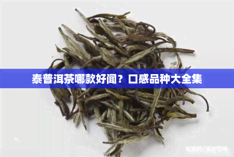 泰普洱茶哪款好闻？口感品种大全集