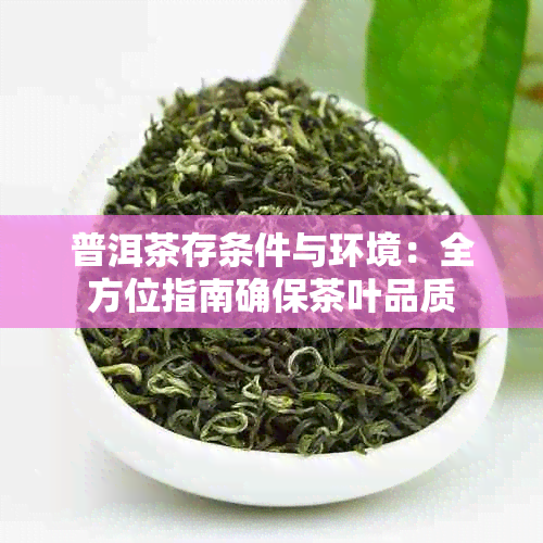 普洱茶存条件与环境：全方位指南确保茶叶品质