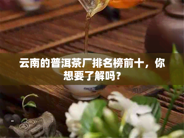 云南的普洱茶厂排名榜前十，你想要了解吗？