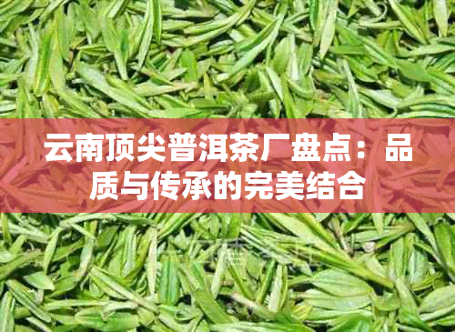 云南顶尖普洱茶厂盘点：品质与传承的完美结合