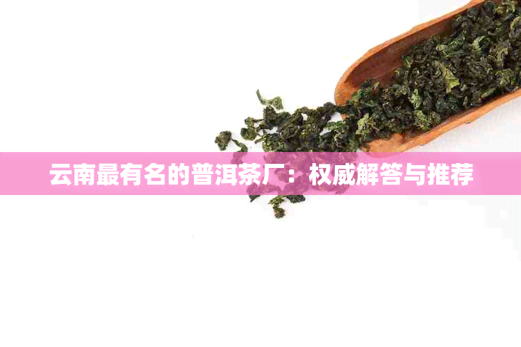 云南最有名的普洱茶厂：权威解答与推荐