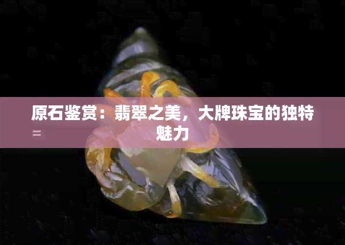 原石鉴赏：翡翠之美，大牌珠宝的独特魅力