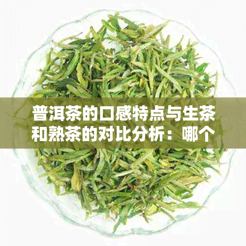 普洱茶的口感特点与生茶和熟茶的对比分析：哪个更好喝？