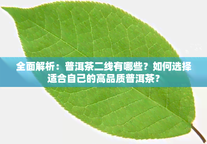 全面解析：普洱茶二线有哪些？如何选择适合自己的高品质普洱茶？