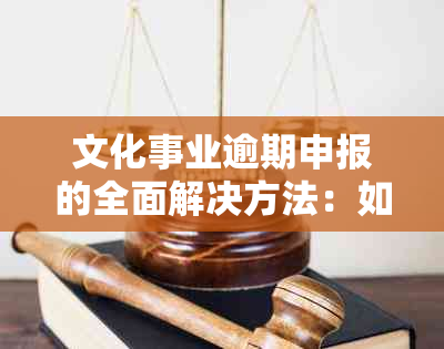 文化事业逾期申报的全面解决方法：如何进行补报操作及相关注意事项