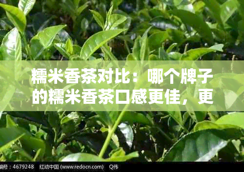 糯米香茶对比：哪个牌子的糯米香茶口感更佳，更值得推荐？