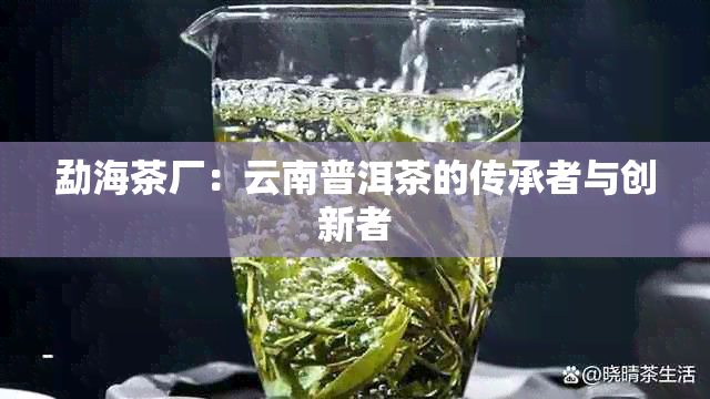 勐海茶厂：云南普洱茶的传承者与创新者