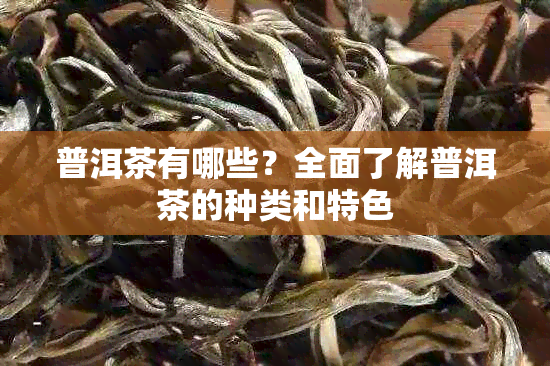 普洱茶有哪些？全面了解普洱茶的种类和特色