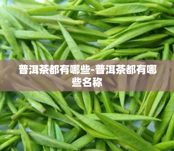 普洱茶都有哪些-普洱茶都有哪些名称