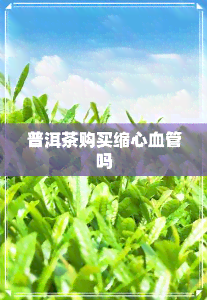 普洱茶购买缩心血管吗