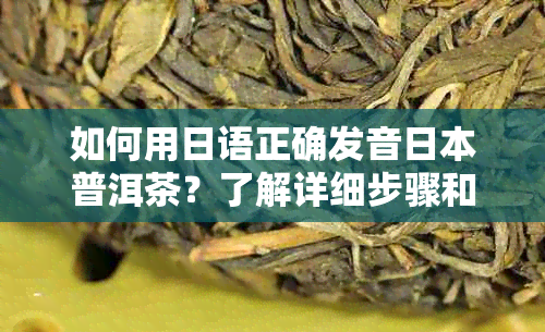 如何用日语正确发音普洱茶？了解详细步骤和技巧