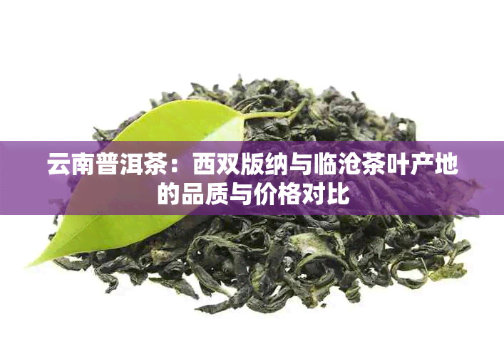 云南普洱茶：西双版纳与临沧茶叶产地的品质与价格对比