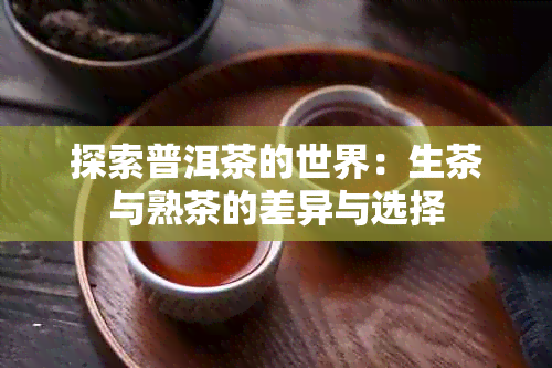 探索普洱茶的世界：生茶与熟茶的差异与选择