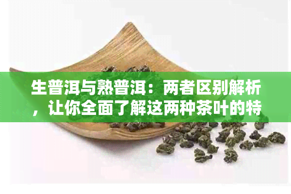 生普洱与熟普洱：两者区别解析，让你全面了解这两种茶叶的特点和口感