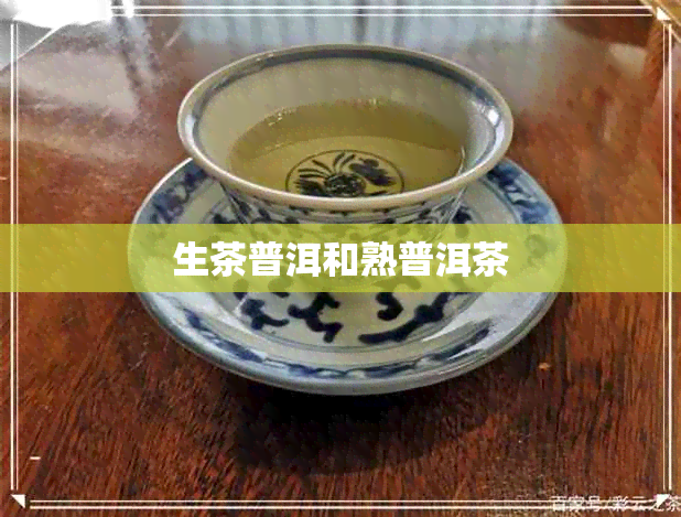 生茶普洱和熟普洱茶