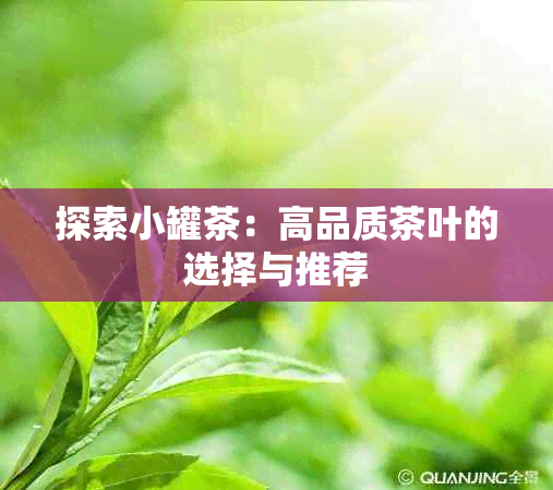 探索小罐茶：高品质茶叶的选择与推荐