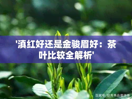 '滇红好还是金骏眉好：茶叶比较全解析'