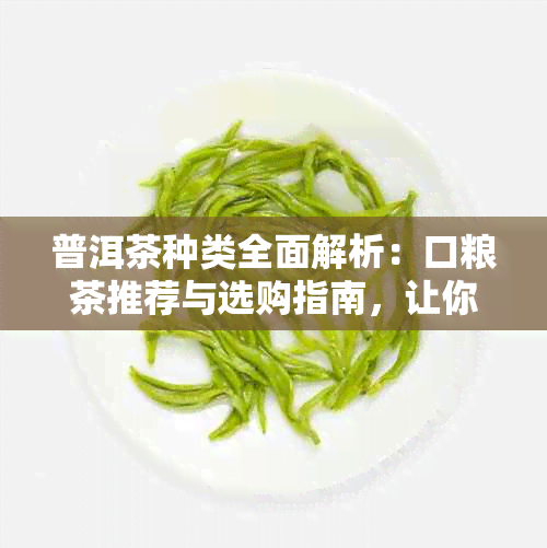 普洱茶种类全面解析：口粮茶推荐与选购指南，让你轻松选对好茶