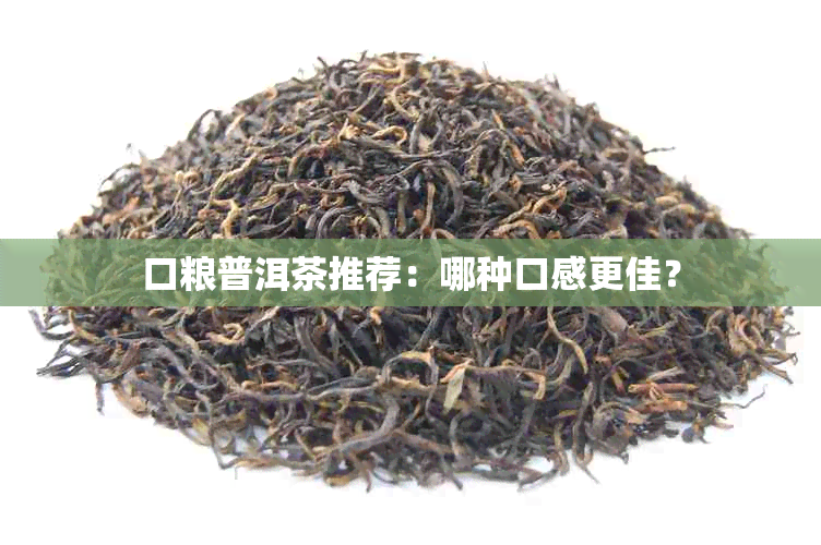 口粮普洱茶推荐：哪种口感更佳？