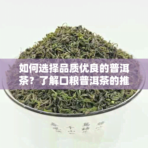 如何选择品质优良的普洱茶？了解口粮普洱茶的推荐与比较