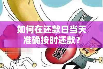 如何在还款日当天准确按时还款？