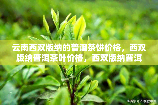 云南西双版纳的普洱茶饼价格，西双版纳普洱茶叶价格，西双版纳普洱生茶价格